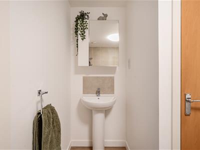 Picture 22